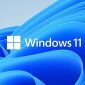 Windows 11 version 23H2